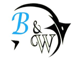 WhatsApp Image 2025-12-01 at 7.44.57 PM