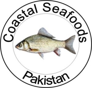 WhatsApp Image 2025-12-01 at 7.45.00 PM