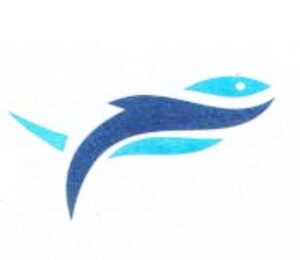 WhatsApp Image 2025-12-01 at 7.45.02 PM