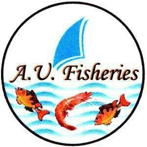 WhatsApp Image 2025-12-01 at 7.45.06 PM